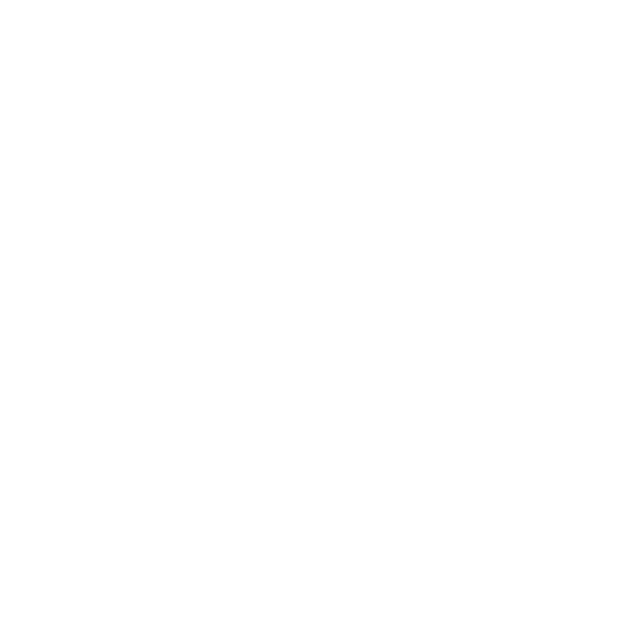 Partner 7